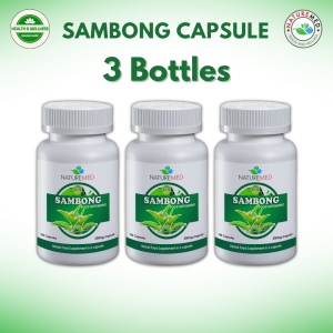Sambong Capsule | 100 Capsules/Bottle | 3 Bottles