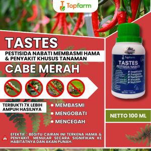 Obat Penyakit Tanaman Cabe / Obat Penyakit Cabe / Obat Penyakit Pada Pohon Cabe / Obat Penyakit Daun Cabe / Obat Hama Cabe Paling Ampuh / Obat Hama Cabe Merah / Obat Jamur Akar Cabe Keriting