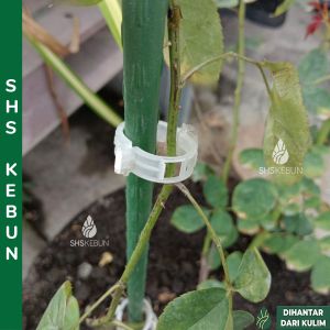 Vine Clip Clamp Hanging and Supporting Vine Crop Plant Clamp White Plastics Klip Penjepit Pengapit Akar Pokok SHS Kebun