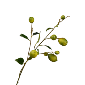 UMBRAULI Luxury Artificial Lemon Branch Plastic Elegant Artificial Lemon Fruit DIY Vase Decor Handmade Fake Plants Restaurant Hotel