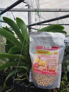 SUMIKATA PHÂN BÓN 16-19-16 + TE (MSP254519) - Mai Huy