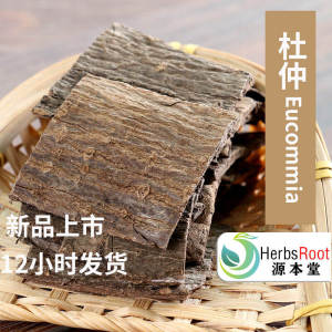 Premium Wild Eucommia Bark High-Grade Traditional Chinese Herb Strong Fiber Pulling Effect Aged Bark for Tea Brewing Authentic 500g