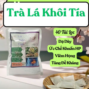 Trà Lá Khôi Tía - Giảm đau dạ dày giảm viêm loét dạ dày ức chế vi khuẩn HP - 40 Túi Lọc - Trà Đông Y Việt