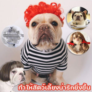 【Pet BHQ】พร้อมส่ง ผมปลอม วิกผมสังเคราะห์สําหรับสัตว์เลี้ยงสุนัขแมว สัตว์เลี้ยง ผมปลอม แมว หมา