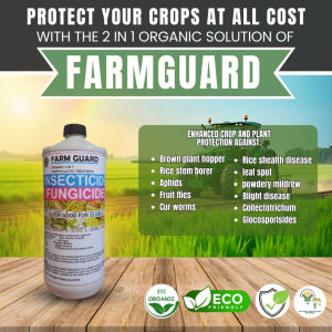 FARMGUARD 2-IN-1 ORGANIC INSECTICIDE & FUNGICIDE [ FARM GUARD Premium] [500ML - 2000ML]