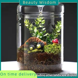 Beauty Wisdom Bottles Creativity Dew Collection Vase Micro Landscape Succulent Moss Landscape Terrarium Home Decor