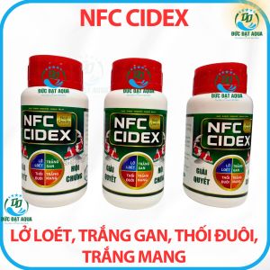 biotik NFC CIDEX250ML giải quyết hội chứng lở loét thối đuôi trắng gan mang cho cá koi cá cảnh