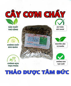 100g cây cơm cháy sấy khô