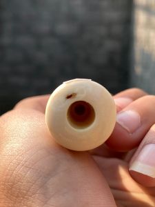 pipa gg asli lokal 10cm bulat 10cm bahan as tengah asli mulus