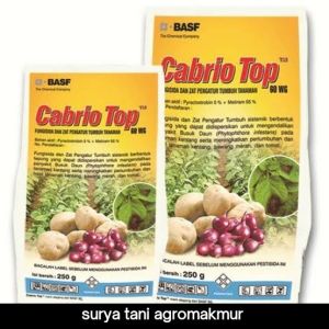 FUNGISIDA CABRIO TOP 60WG 250GR /500GR OBAT JAMUR