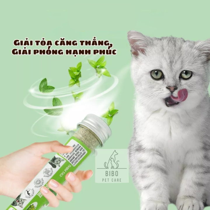 C%E1%BB%8F%20M%C3%A8o%20Catnip%20B%E1%BA%A1c%20H%C3%A0%20t%E1%BB%B1%20nhi%C3%AAn%20Gi%C3%BAp%20gi%E1%BA%A3m%20stress%20cho%20m%C3%A8o,%20ti%C3%AAu%20b%C3%BAi%20l%C3%B4ng,%20gi%E1%BA%A3m%20h%C3%B4i%20mi%E1%BB%87ng,%20th%C6%B0%20gi%E1%BA%A3n%20-%20Image%203