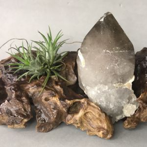 Đá Thạch Anh đen khói kèm đế gỗ lạ mắt - mã 71