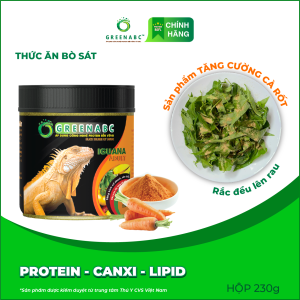 Thức ăn bò sát Iguana Trưởng Thành GREENABC vị cà rốt dùng cho Iguana từ 1m trở lên giúp gai bung gù cao dáng đẹp lên màu tươi –  Hộp 230g
