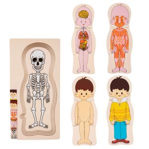 SIRENXI Nhiều lớp Ghép hình cơ thể người bằng gỗ Tương tác giữa cha mẹ và con cái Bé trai bé gái Ghép hình giải phẫu giáo dục Đồ chơi để bàn cho trẻ em Giáo Dục Sớm Câu Đố cấu trúc cơ thể Đồ hỗ trợ giảng dạy nhận thức