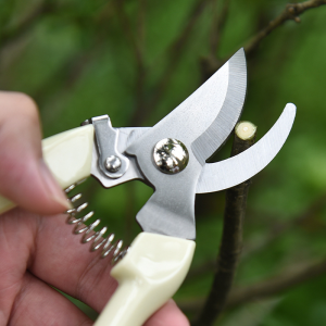 Mastering Garden Plant Care Tools: From Fruit Tree Pliers to Bonsai Pruning Scissors