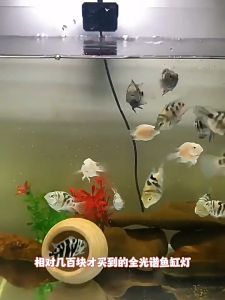 Aikenn Waterproof USB LED Clip Light Fish Tank Lamp Aquatic Plants Small Energy Efficient Lampu Akuarium