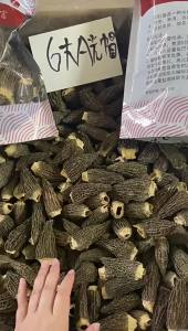 Yunnan Morel Mushroom 5-8 Wholesale Bulk Dry Goods Yunnan Specialty Mushroom First Harvest Bagged Soup Ingredients Dropshipping xpxcilkd2