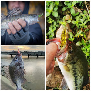 ZEEMIN Shrimp Lure Soft Silicone Artificial Bait 6cm/3g 5cm/2g Fish Hook Flavor Fishy Fresh Taste Prawn Luminous Swimbait Tackle Pesca