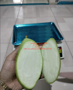 Mangga okyong/ Namdokmai kondisi muda\tua 1kg isi 3-4 bisa request