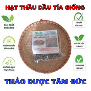 gói 100 hạt thầu dầu tía giống