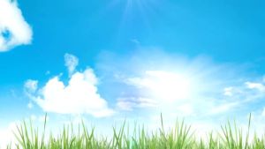 Kaytee EXACT Omega 3 hand feeding formula/510gm 18OZ/makanan suap anak burung parrot/coactailbudgie (FREE PICAGARI)