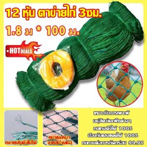 🐓COD🐓อวนล้อมไก่ รั้วตาข่าย 20/50/100M รั้วตาข่าย ตาข่ายไนล่อน อวนล้อมไก่ตาข่ายกันสัตว์ ตาข่ายป้องกันนก