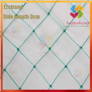 【In stock】50M Chicken Net Range Net for Chicken Lambat Outdoor Poultry Net Ranging Net (Including rope)