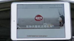 ชามอาหารสัตว์เลี้ยงขนาดเล็ก ชามปลา ชามแมว สแตนเลส ชามคู่ ชามสุนัขเท็ดดี้ อุปกรณ์ให้อาหารและน้ำ ชามอาหารสัตว์เลี้ยง [ จัดส่งฟรี ]