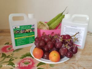 MAS PINABISA na TricMoBac PLUS Organic Growing media Antimicrobial Biopesticide with FOLIAR 1 lIter