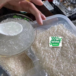SARANG BURUNG WALET BERSIH NATURAL n HALAL 10gram