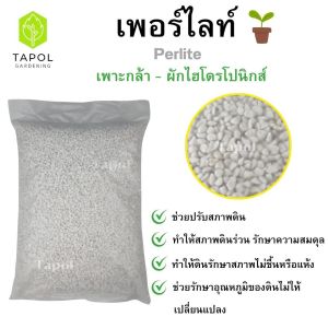 เพอร์ไลต์ (Perlite) เพาะกล้า-ผักโฮโดรโปรนิกส์ บรรจุ 4 ลิตร ช่วยเรื่องการเดินรากของต้นไม้ ช่วยปรับสภาพดิน รักษาความสมดุล