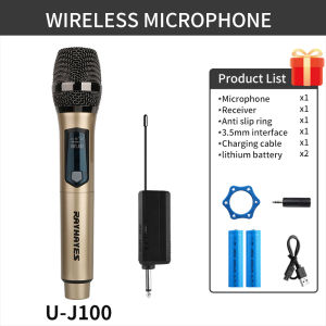RAYHAYES Wireless Microphone Rechargeable System Dual Handheld UHF with Receiver Singing Karaoke
