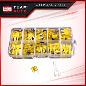 TeamAutoCare TAC6242 100 Pieces Automotive Mini Blade Fuse 20A Replacement Kit with Storage Case and Fuse Puller for Cars  Trucks  Motorcycles
