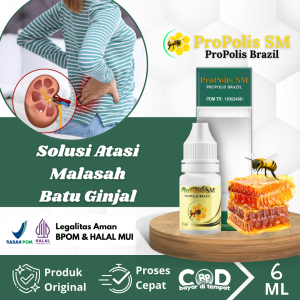 Obat Batu Ginjal Penghancur Batu Ginjal Batu Empedu Infeksi Ginjal Penghancur Batu Empedu Kencing Batu Infeksi Saluran Kemih Obat Ginjal Bengkak Infeksi Ginjal Dengan ProPolis SM Brazil