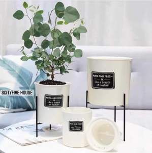 sixtyfivehouse กระถางพร้อมขาตั้ง กระถางต้นไม้ แบบ เก็บ น้ํา ได้ รด น้ํา อัตโนมัติ