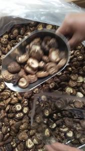 Instant Soup Changbai Mountain Dried Shiitake Mushrooms Bagged 香菇 蘑菇干 干货