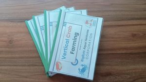 Vertical Crab Farming Manual