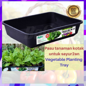 BABA YASA-I SUPER VEGE TRAY (55.7cm x 41.5cm x 12.8cm) Ideal For Balcony & Home Vegetable Planting YASA-I TRAY YASA I TRAY