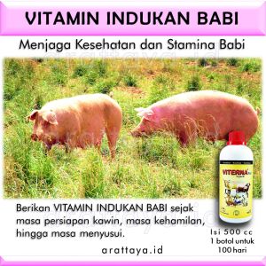 VITAMIN BABI 500 cc / obat ternak babi / pakan ternak babi / obat penggemuk babi / ternak babi sehat