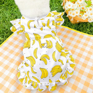 Pet Cartoon Pullable Fruit Dog Mesh Summer Breathable Cat Dress Dog Cat Supplies Teddy