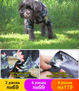 Dog Shirt Gentle Care Dog Clothes Transparent Waterproof Raincoat Multi-color Fashion