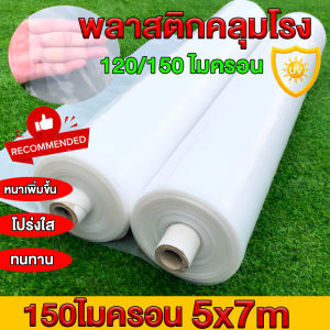 พลาสติกคลุมโรงเรือน กรีนเฮ้าส์ พลาสติกPE หนา 120/150 ไมครอน uv7% ขนาด 3x5 3x10 4x10 เหมาะสำหรับงานกันซึมหลังคาเรือนกระจก