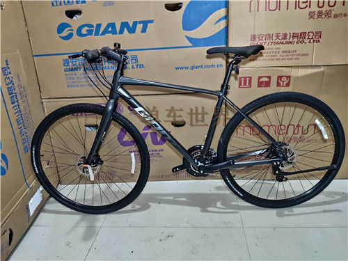 Giant escape best sale road bike