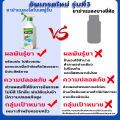 💥1วินาทีฆ่าเห็บหมัด💥สเปรย์กําจัดเห็บหมัด 450ml สูตรพืช ปลอดภัย ไร้สีไร้กลิ่น เหมาะสำหรับแม่และเด็ก ยาฆ่าเห็บหมัด กำจัดเห็บและหมัด กำจัดแมลงได้100ชนิด ไล่เห็บหมัด กำจัดเห็บหมัด ไร เหา แมลงสาบ ยุง แมลงวัน มด สเปรย์เห็บหมัด. 