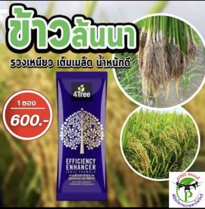 4Tree​ของแท้ โฟร์​ทรี​ 1 ซอง ใช้ได้ 15-20 ไร่ สารเสริมประสิทธิภาพพืชสูตรอิออน ช่วยเร่งราก พืชโตเร็ว ทำให้พืชเขียวนาน ใช้ได้กับพืชทุกชนิด นวัตกรรมใหม่จากประเทศอิสราเอล ของแท้100%