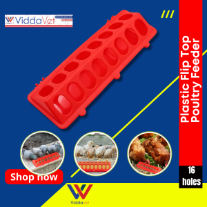 16 holes Plastic Flip Top Small Poultry Feeder Quail Feeder Baby Chick Ducklings Feeder Red No Mess No Waste Multi hole