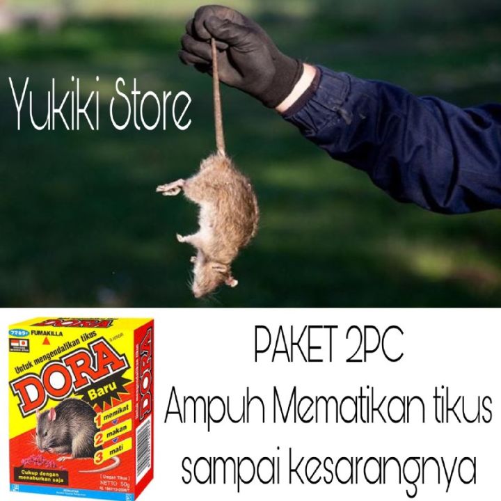 PEMBASMI TIKUS PALING AMPUH - MENGUSIR TIKUS BESERTA KOLONINYA - RACUN TIKUS MATI KERING - PENGHILANG TIKUS - DORA RACUN TIKUS 2 X 50GR - PEMBASMI TIKUS HANDAL - RACUN TIKUS MURAH - COD