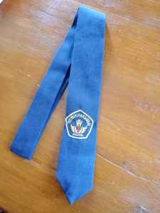 TOPI PLUS DASI SEKOLAH SMP