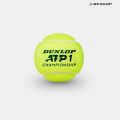 Bóng Tennis Dunlop ATP Championship (Lon 4 bóng) DTBATPCHAMPIONSHIP4. 
