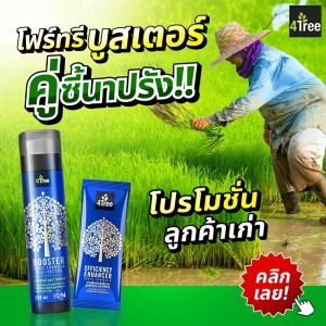 4TREE คู่หูโฟร์ทรี booster 4tree โฟทรี คู่หูนาปี คู่ซี้นาปรัง พลังคูณ4 โฟร์ทรี โฟทรี โฟร์ทรีวิธีใช้ แพ็คคู่เกษต โฟร์ทรี โฟร์ทรีราคา โฟร์ทรี โฟทีร์ วิธีการใช้โฟร์ทรี 4Tree โฟร์ทรี ไคโตซาน พลัง×4 ประสิทธิภาพสูง ระดับอิออน ×4 ไคโตซานพืช โฟร์ทรี ของแท้